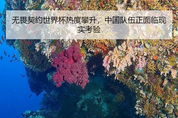 无畏契约世界杯热度攀升，中国队伍正面临现实考验
